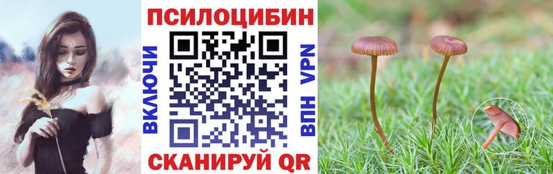 kraken зеркало  нарко площадка состав  Нязепетровск  Галлюциногенные грибы Magic Shrooms  сколько стоит 